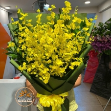 BÓ LAN VÀNG SANG TRỌNG