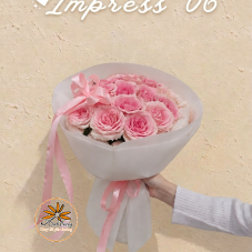 IMPRESS 06