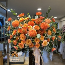 KHỞI SẮC THÀNH CÔNG VP013