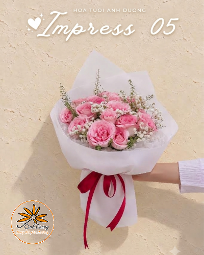 IMPRESS 05