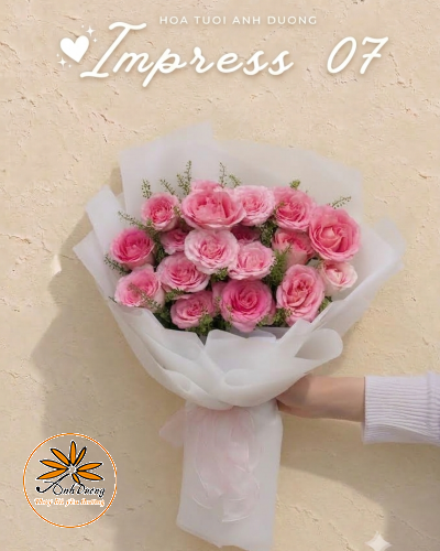 IMPRESS 07