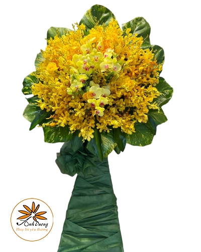 HOA TƯƠI CHÚC MỪNG THÀNH CÔNG CM039